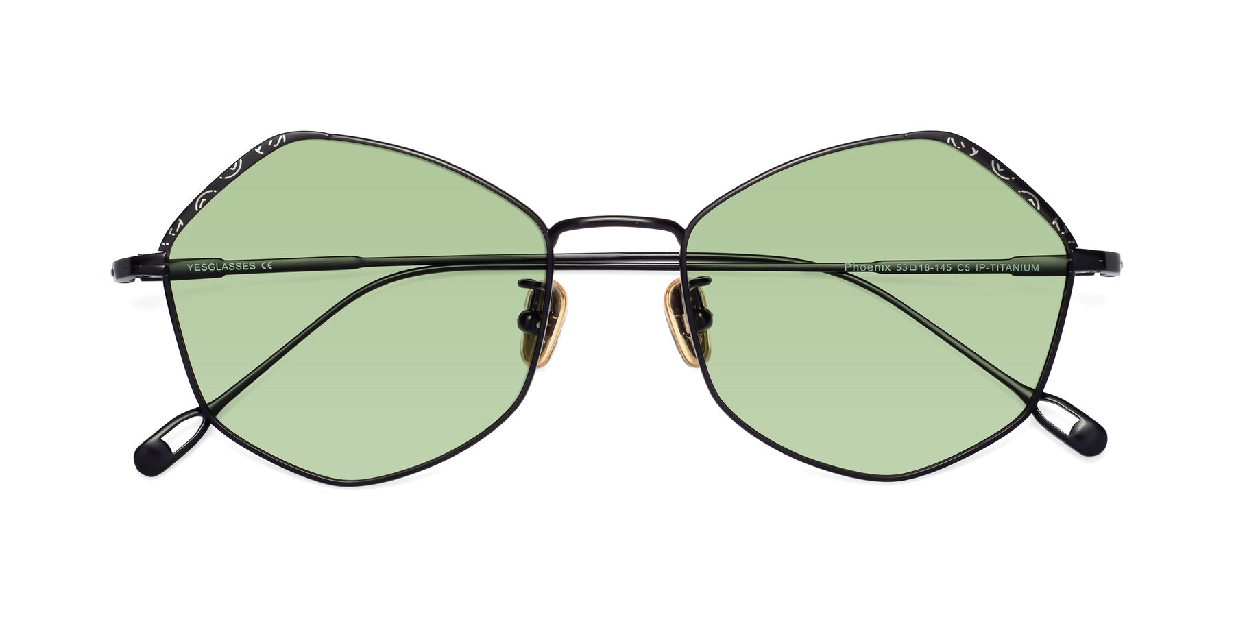 Folded Front of Phoenix in Black with Medium Green Tinted Lenses