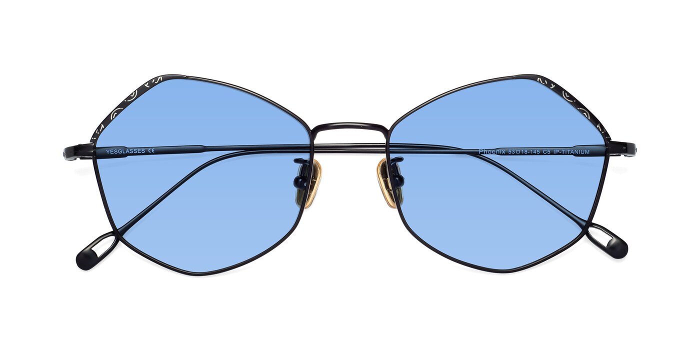Phoenix - Black Tinted Sunglasses