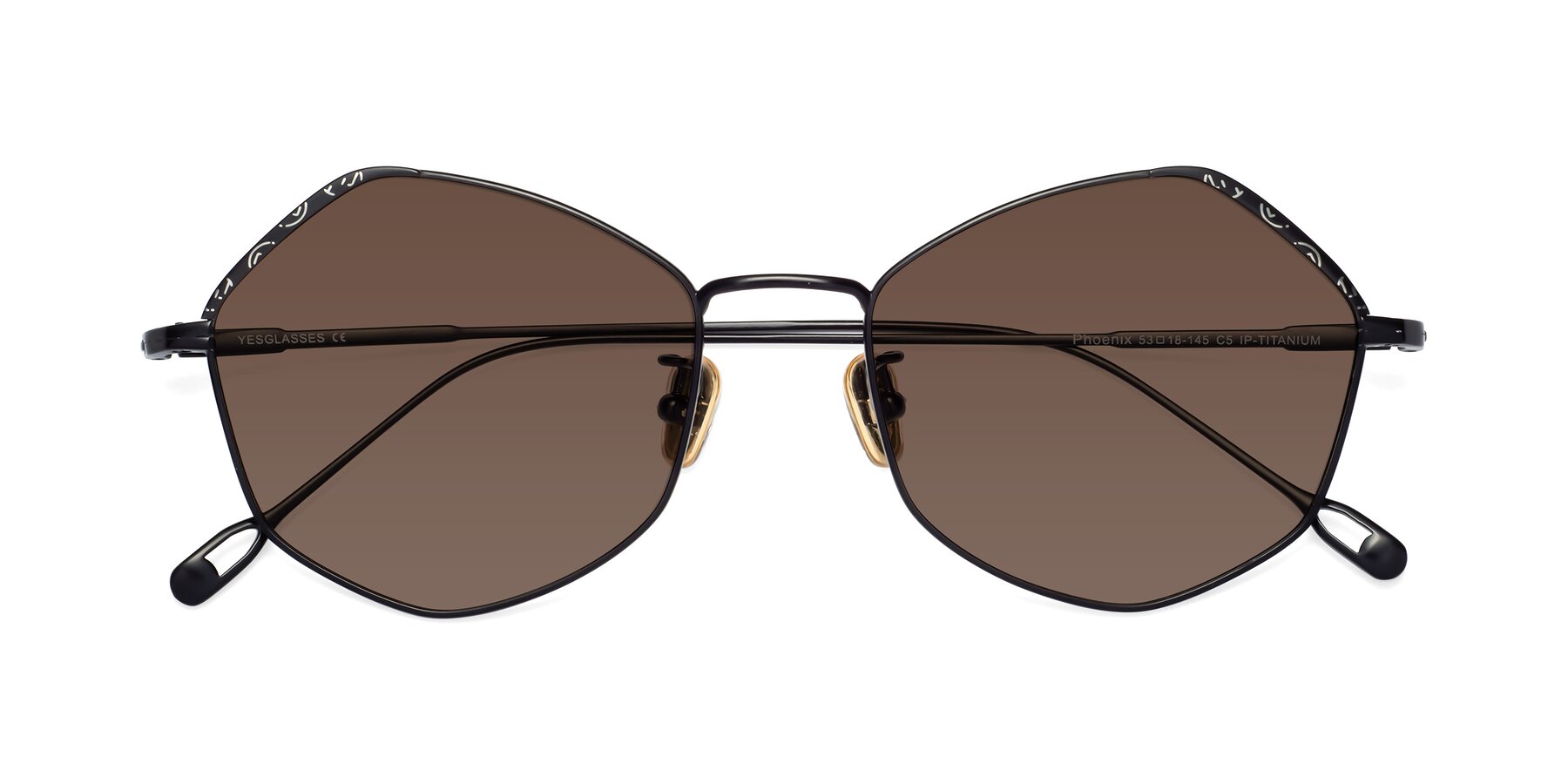 Folded Front of Phoenix in Black with Brown Tinted Lenses