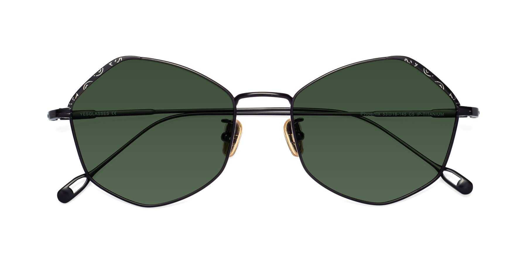 Folded Front of Phoenix in Black with Green Tinted Lenses