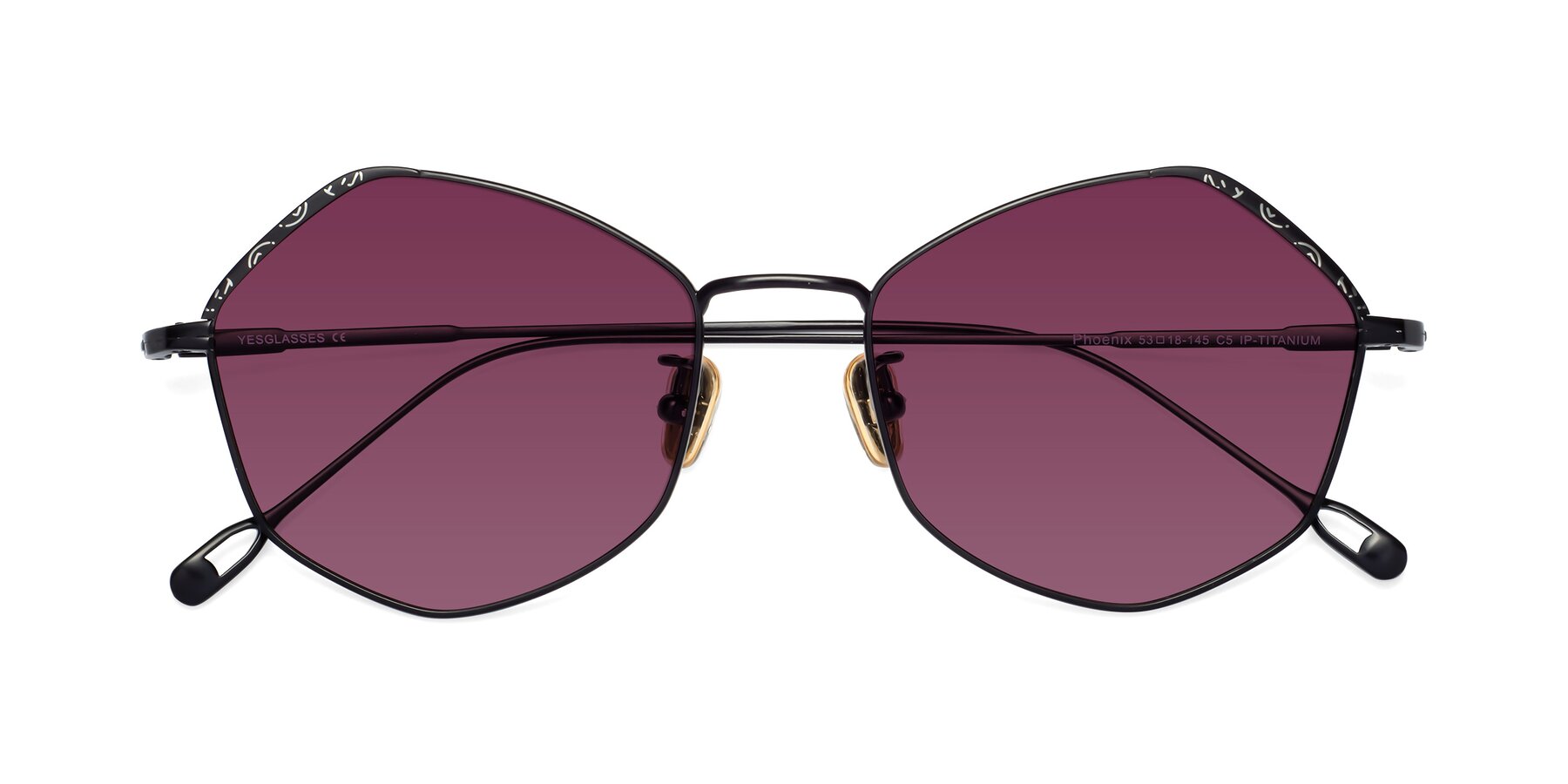 Folded Front of Phoenix in Black with Wine Tinted Lenses