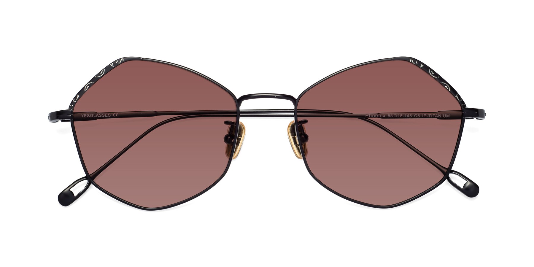 Folded Front of Phoenix in Black with Garnet Tinted Lenses