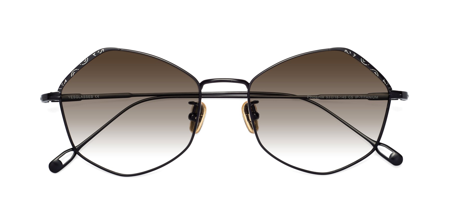 Folded Front of Phoenix in Black with Brown Gradient Lenses