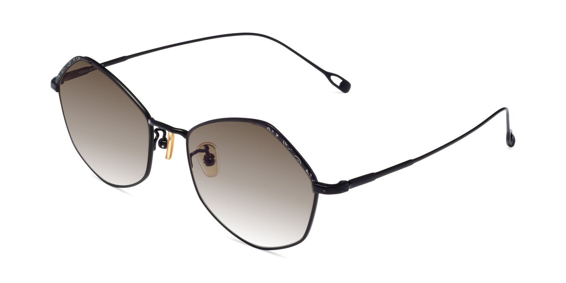 Angle of Phoenix in Black with Brown Gradient Lenses