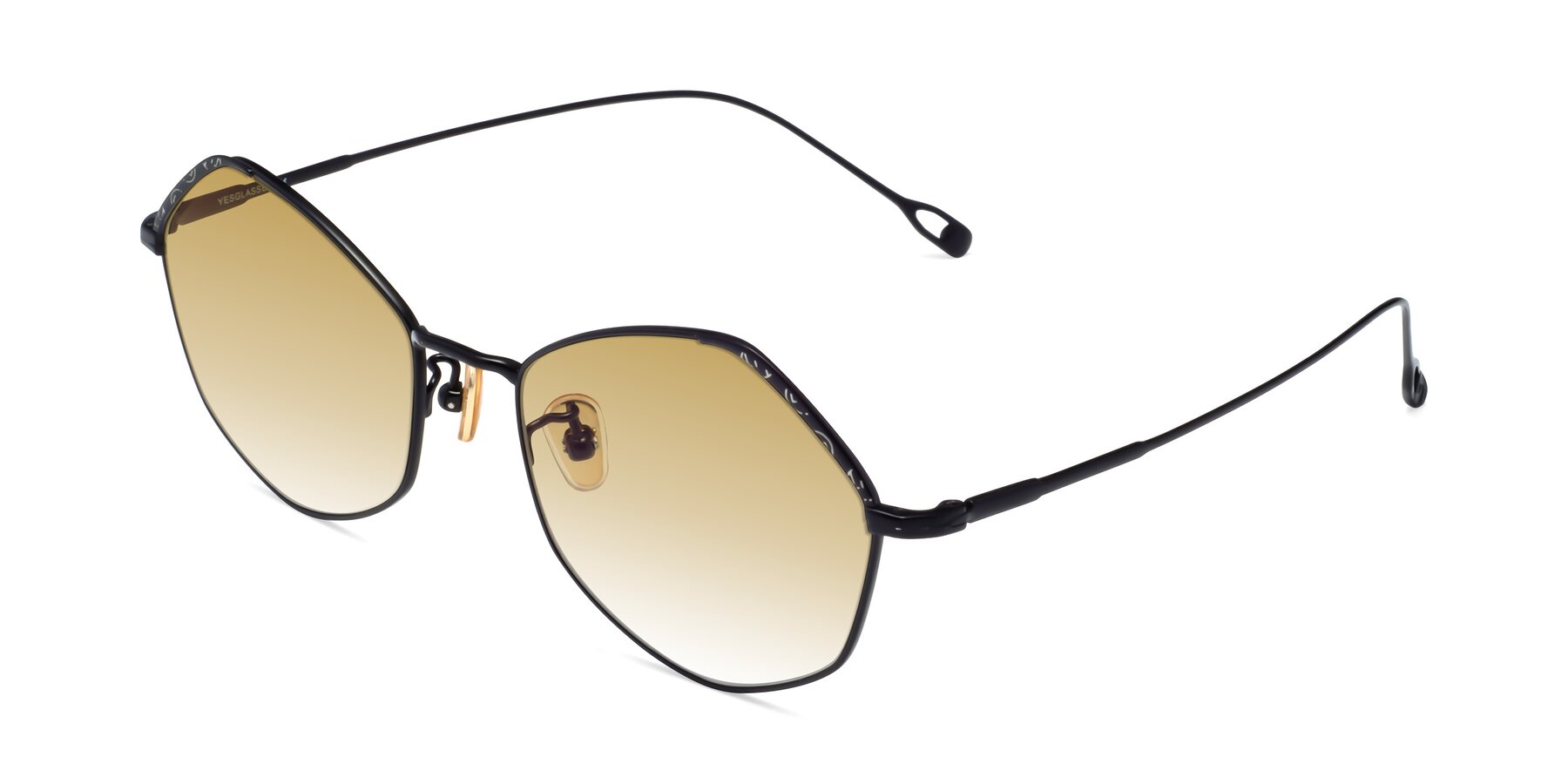 Angle of Phoenix in Black with Champagne Gradient Lenses