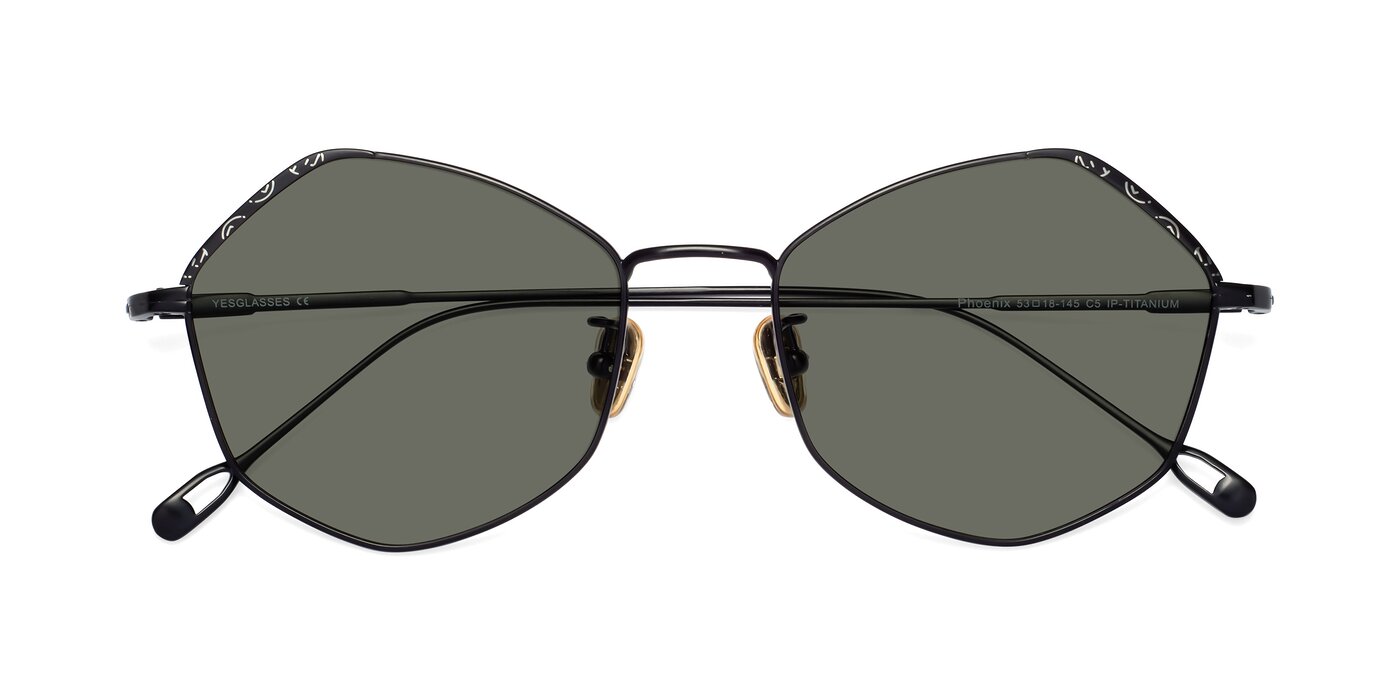 Phoenix - Black Polarized Sunglasses