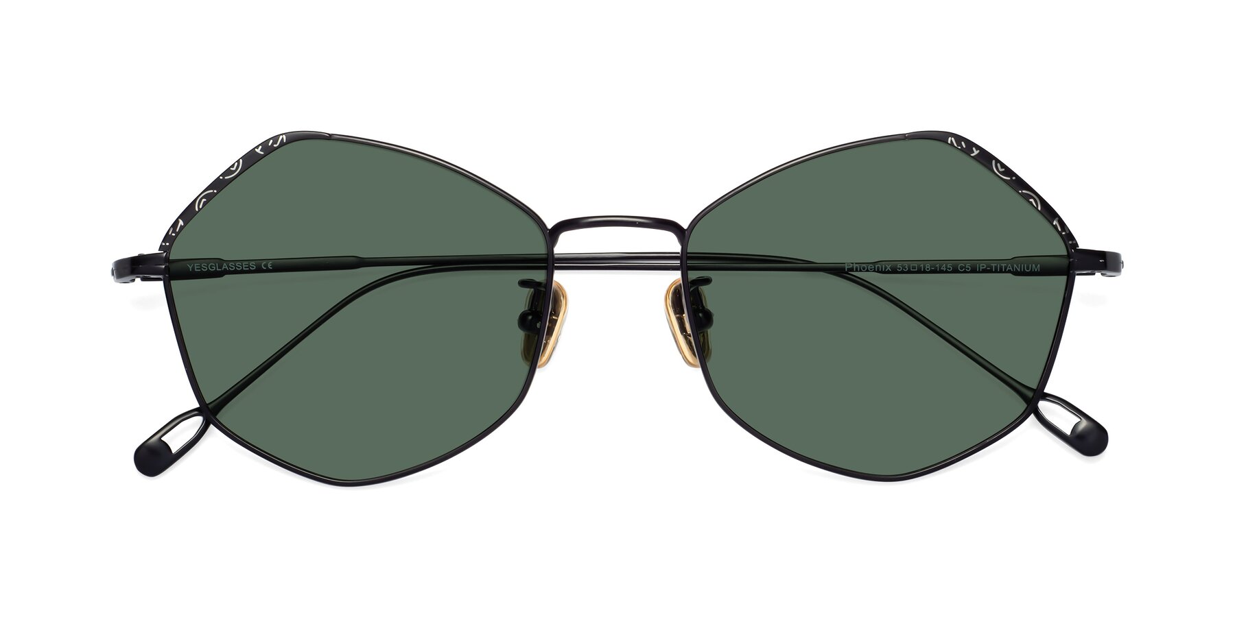 Folded Front of Phoenix in Black with Green Polarized Lenses