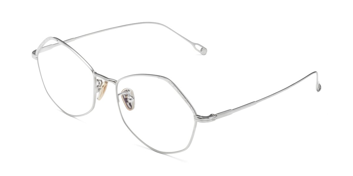 Silver RetroVintage Titanium Geometric Eyeglasses Phoenix