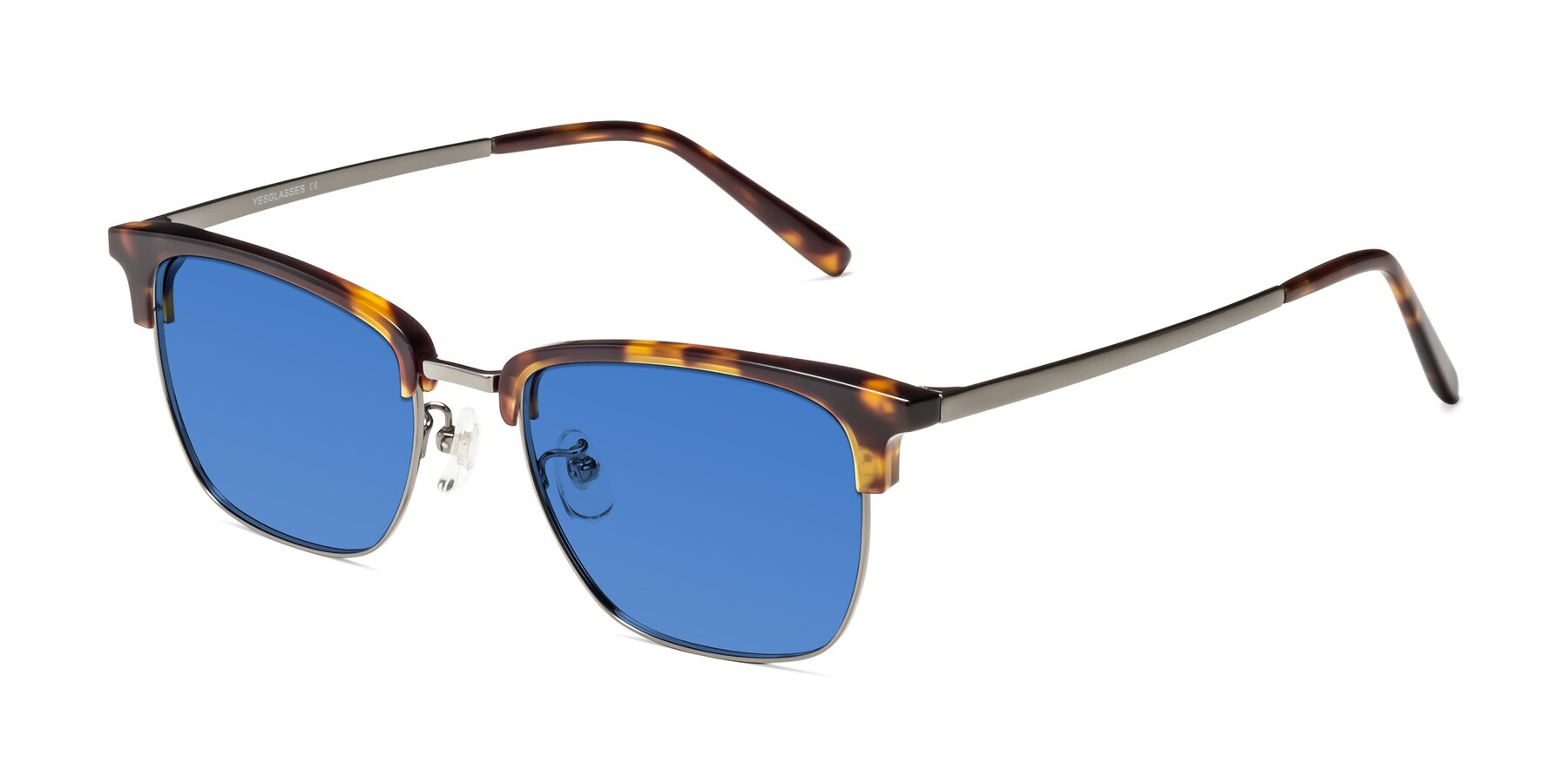 Angle of Milpa in Tortoise with Blue Tinted Lenses
