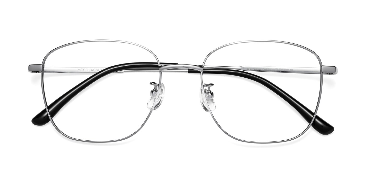 Tim - Silver Eyeglasses
