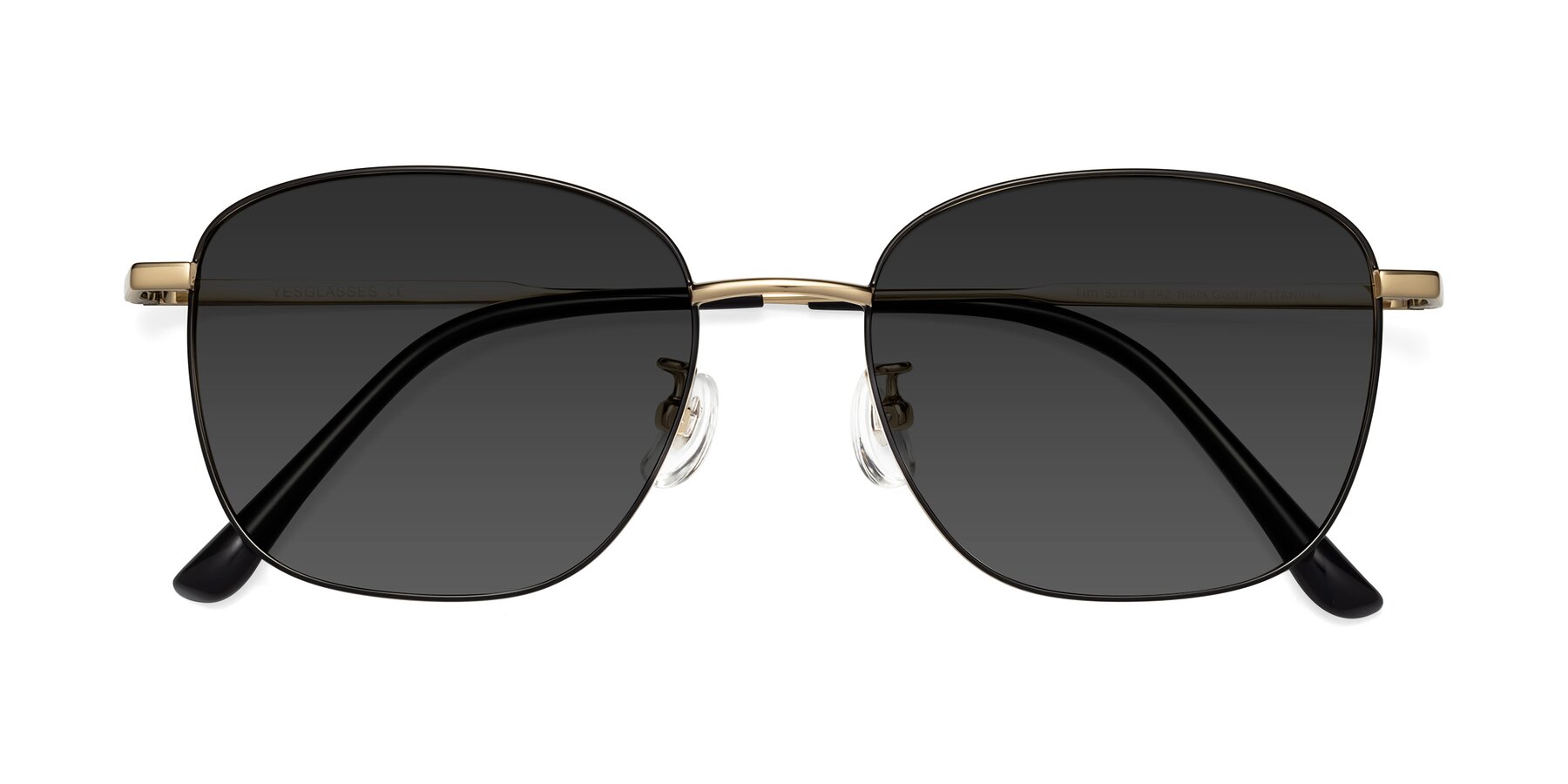 Folded Front of Tim in Black-Gold with Gray Tinted Lenses