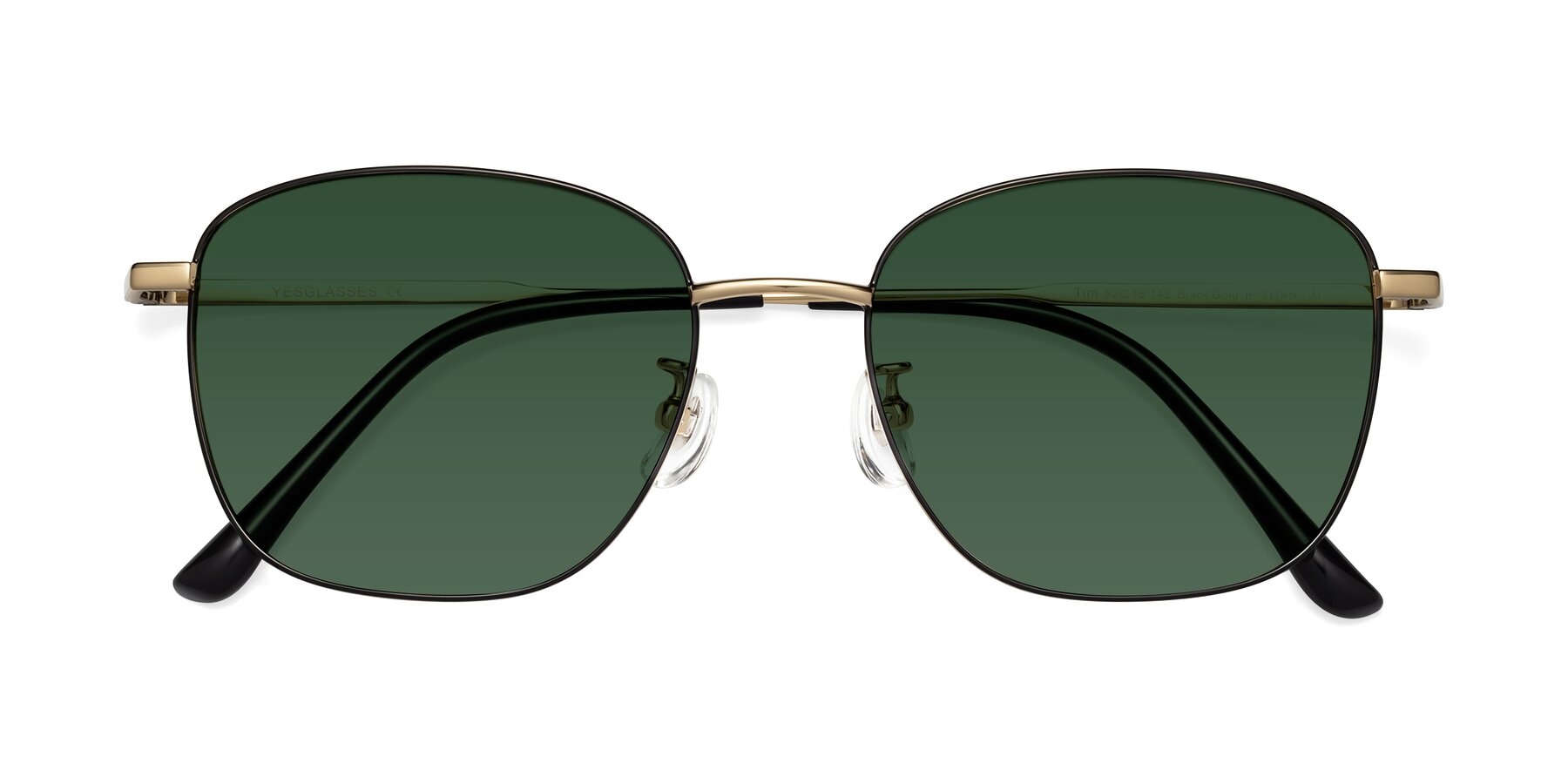 Folded Front of Tim in Black-Gold with Green Tinted Lenses