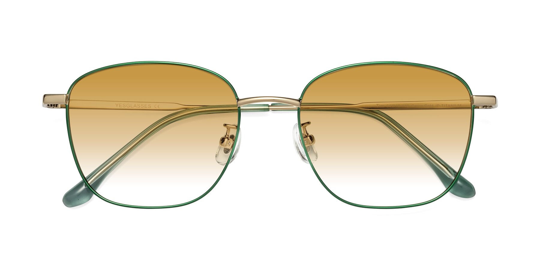 Folded Front of Tim in Green with Champagne Gradient Lenses