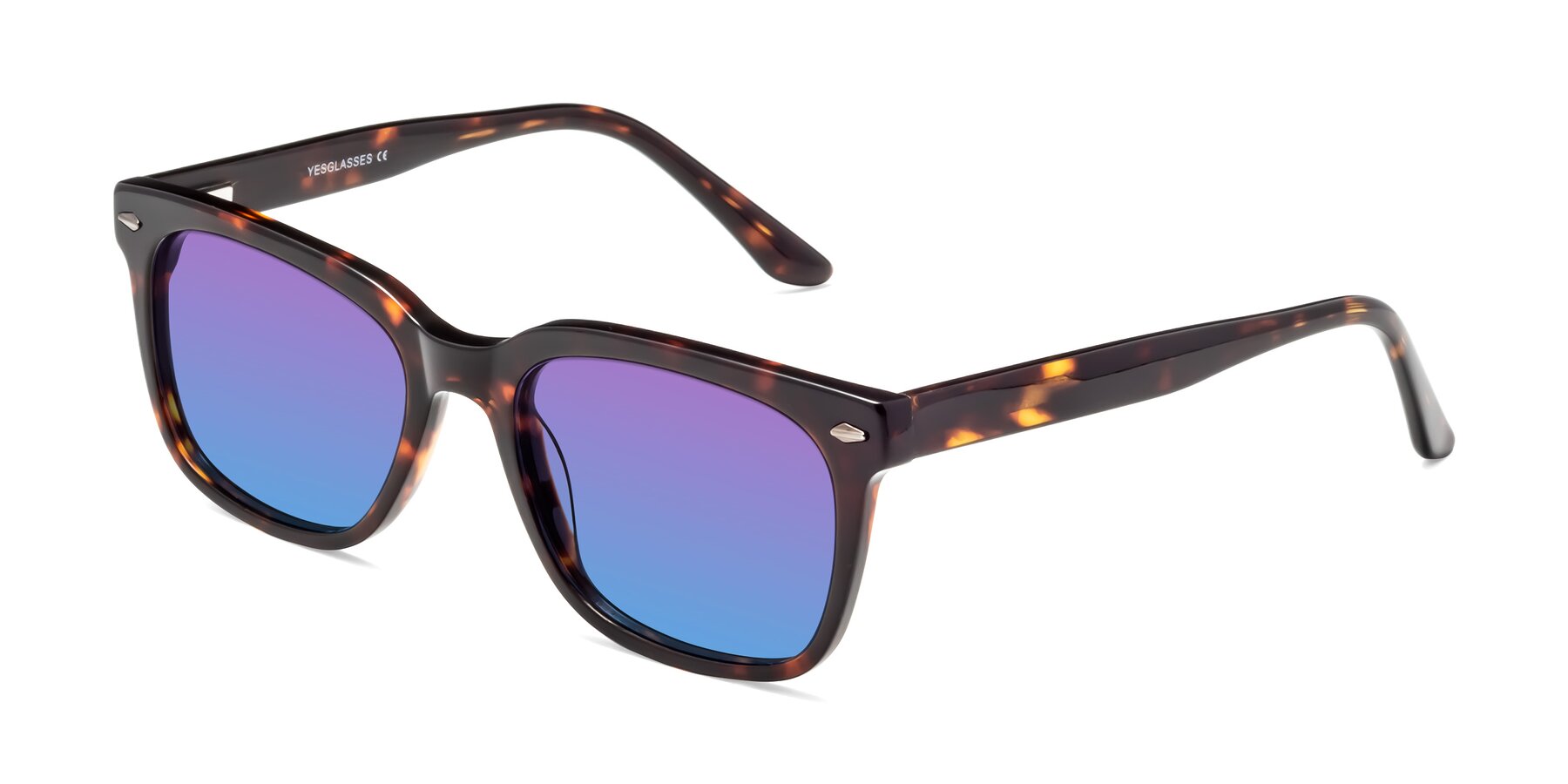 Angle of 1052 in Tortoise with Purple / Blue Gradient Lenses