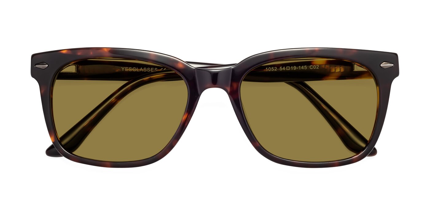 1052 - Tortoise Polarized Sunglasses