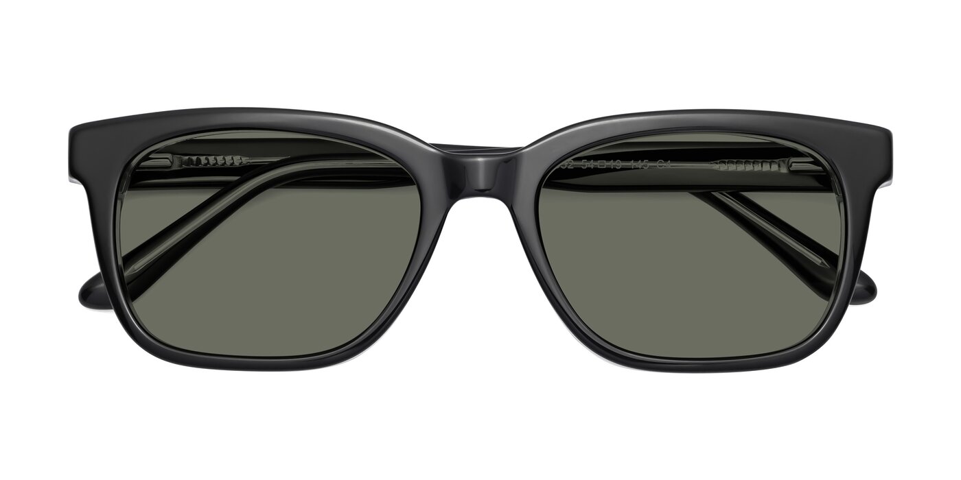 1052 - Black / Clear Polarized Sunglasses