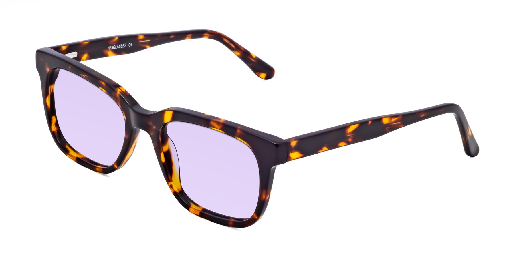 Angle of 1052 in Tortoise with Light Purple Tinted Lenses