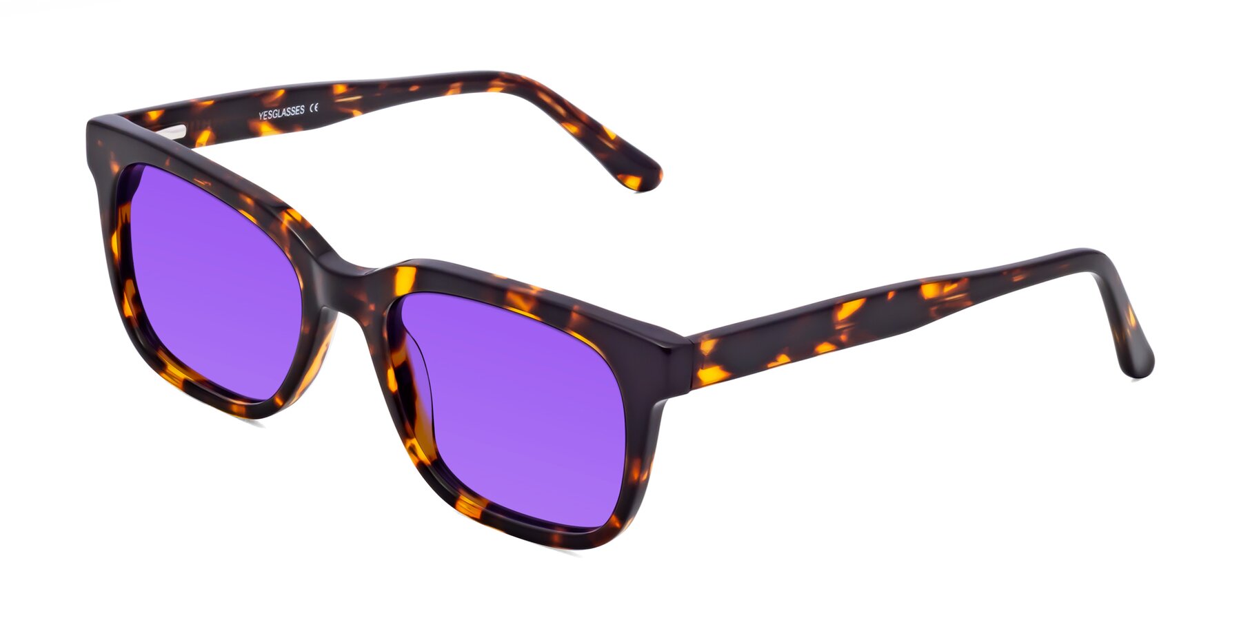 Angle of 1052 in Tortoise with Purple Tinted Lenses