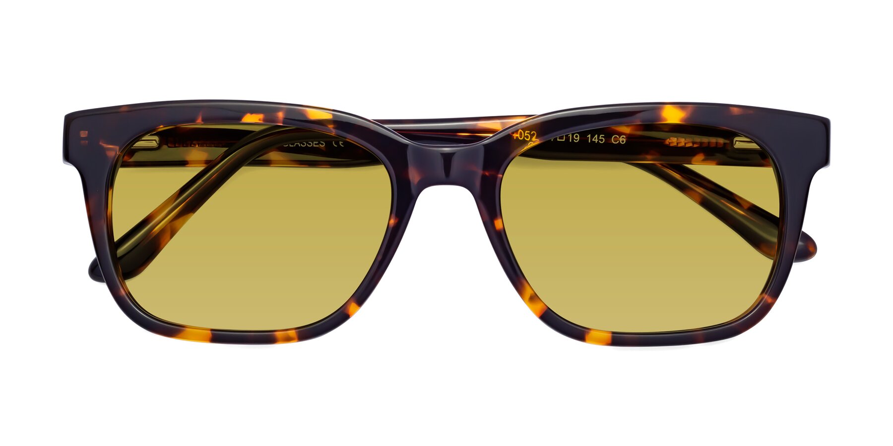 Folded Front of 1052 in Tortoise with Champagne Tinted Lenses