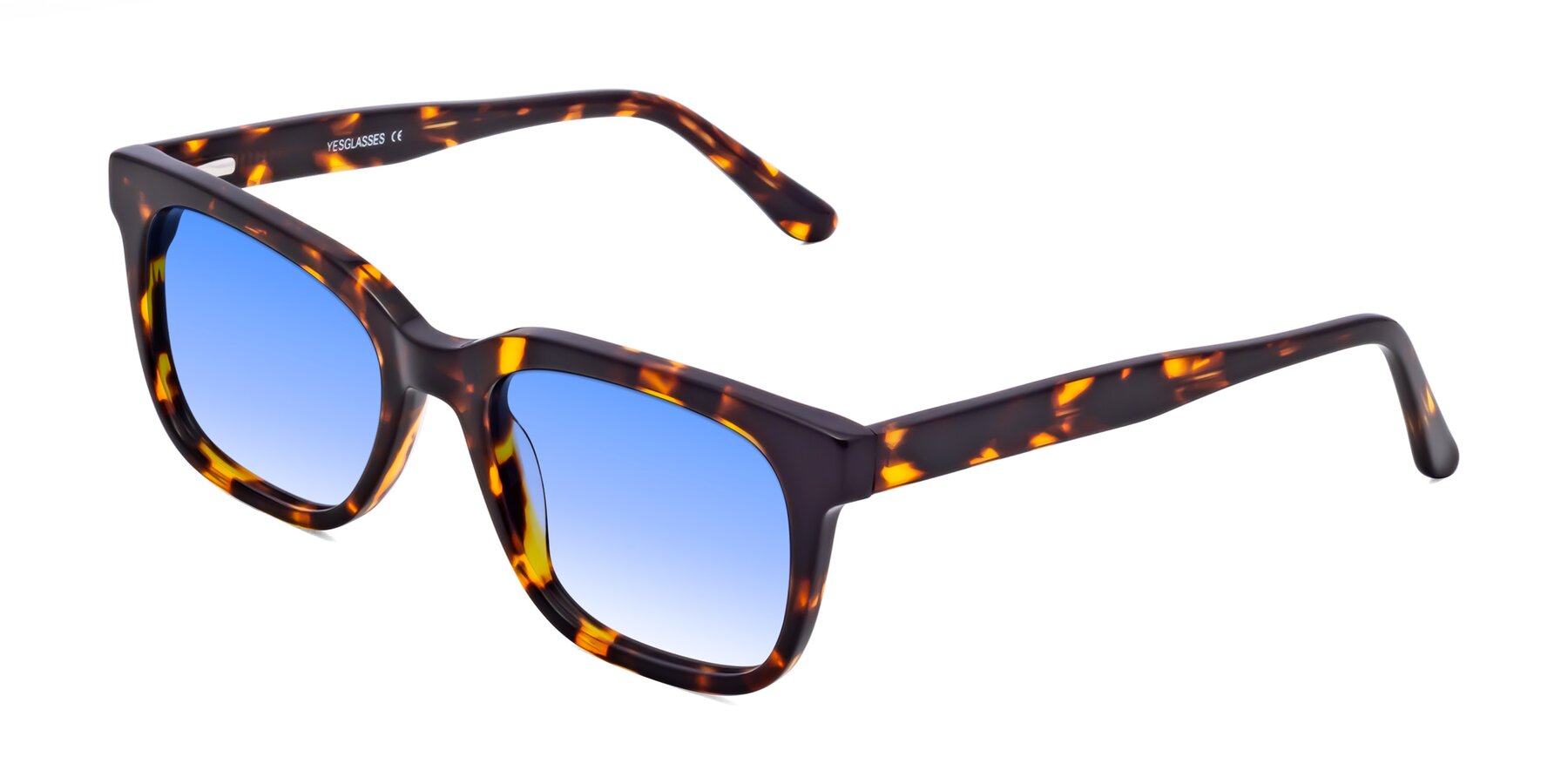 Angle of 1052 in Tortoise with Blue Gradient Lenses