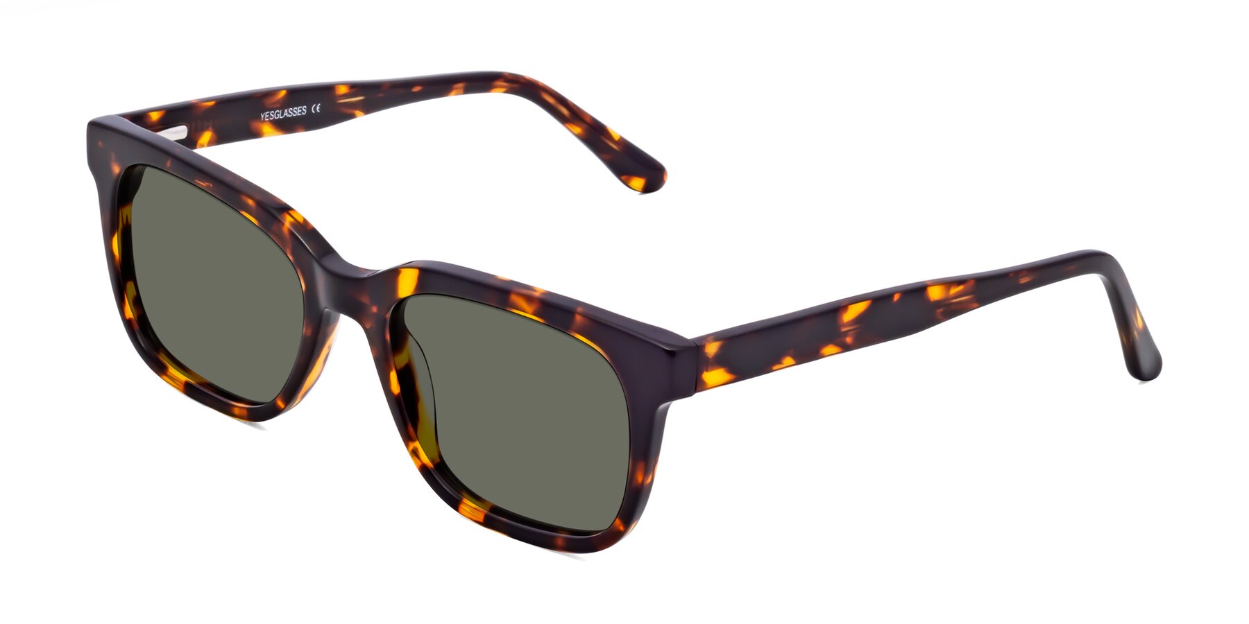 Angle of 1052 in Tortoise with Gray Polarized Lenses