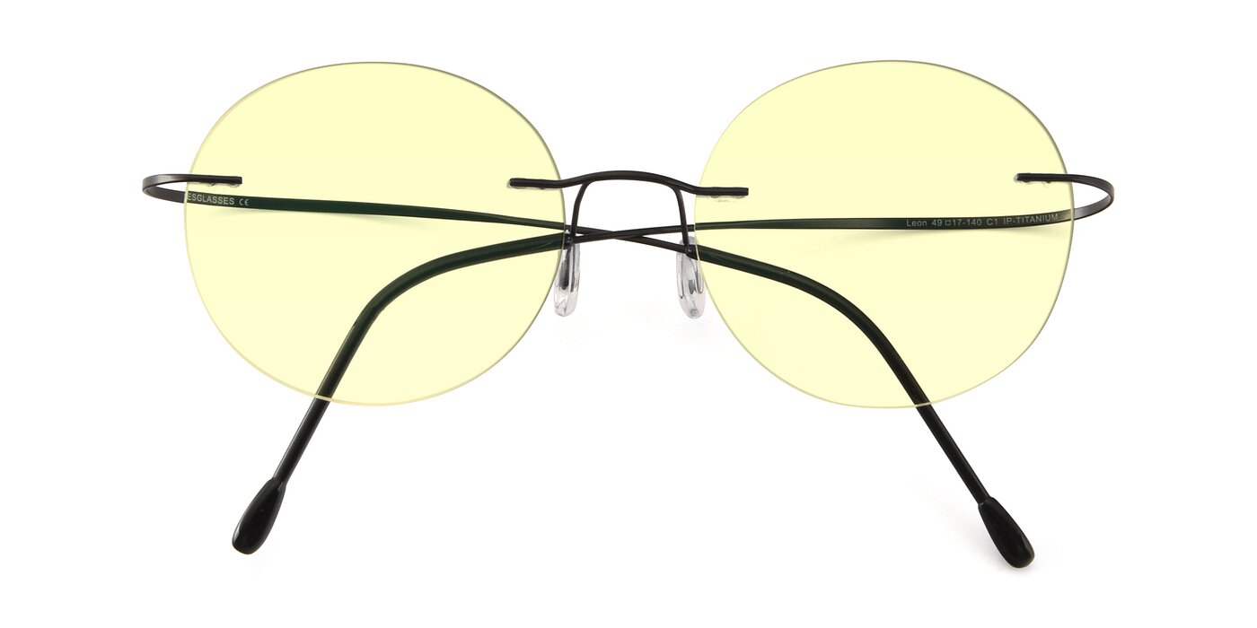 Leon - Black Tinted Sunglasses