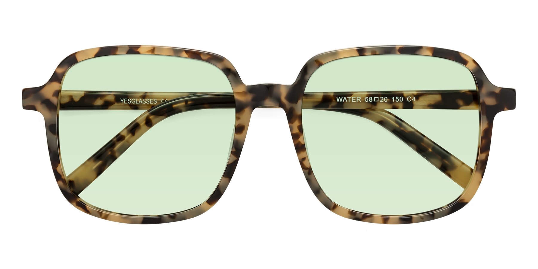 Folded Front of Water in Tortoise with Light Green Tinted Lenses