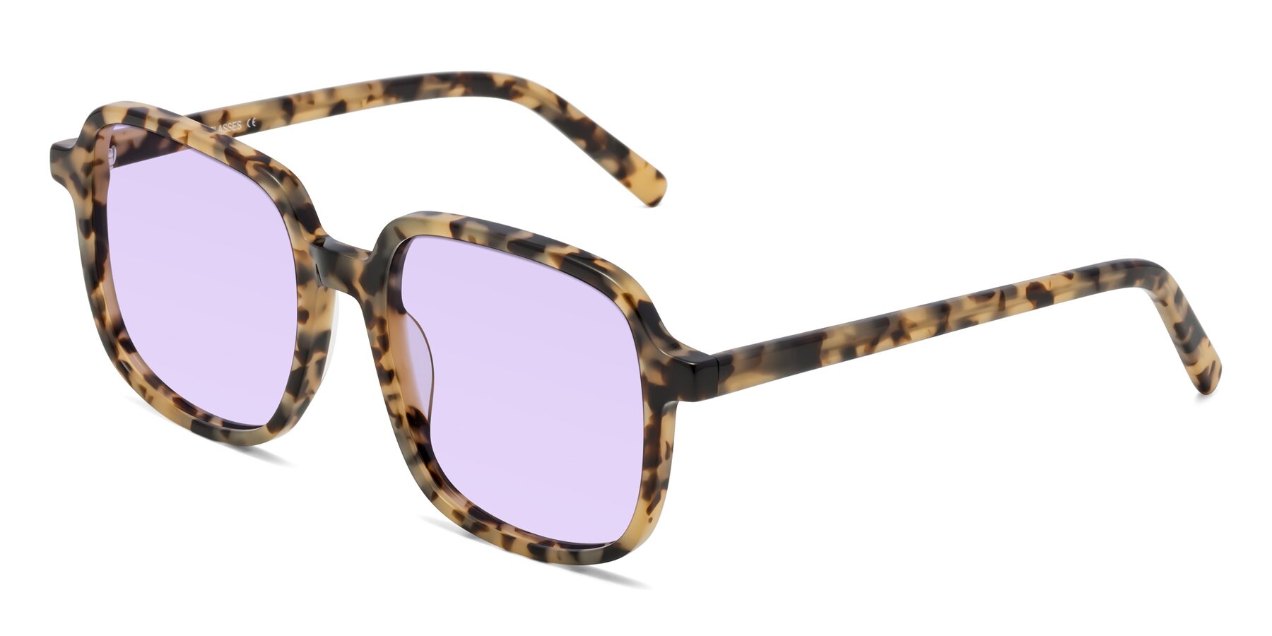 Angle of Water in Tortoise with Light Purple Tinted Lenses