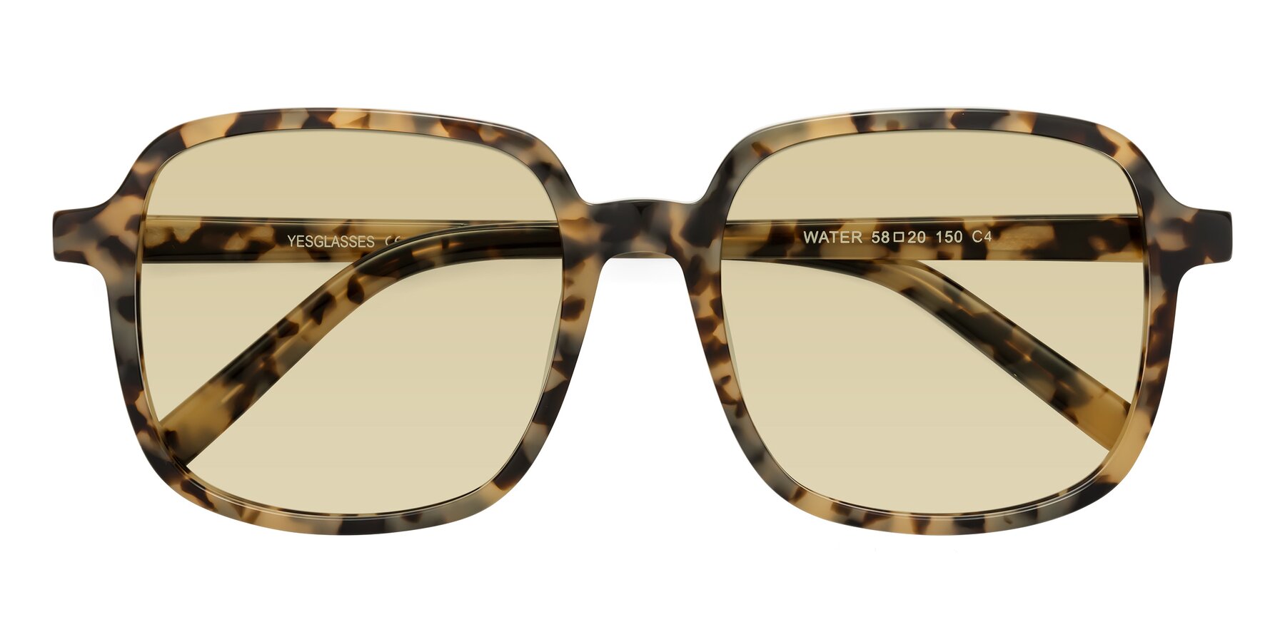 Folded Front of Water in Tortoise with Light Champagne Tinted Lenses