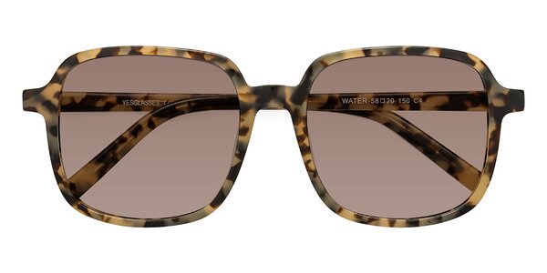 Front of Water in Ivory Tortoise