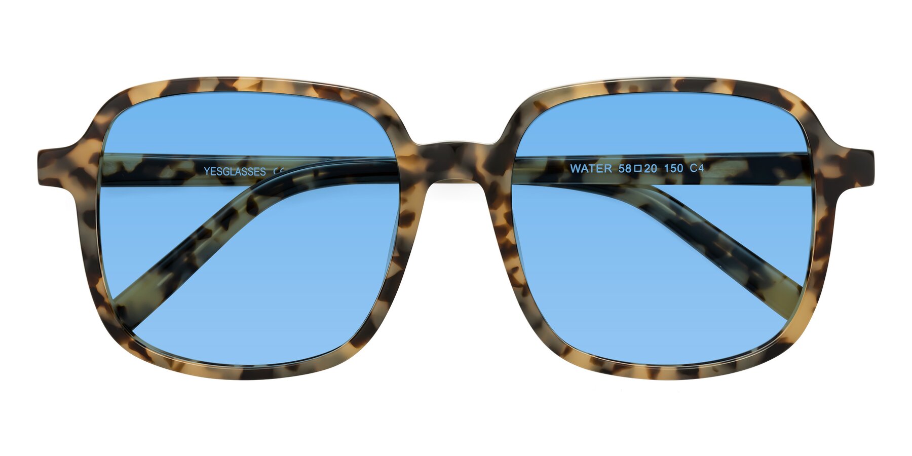 Folded Front of Water in Tortoise with Medium Blue Tinted Lenses