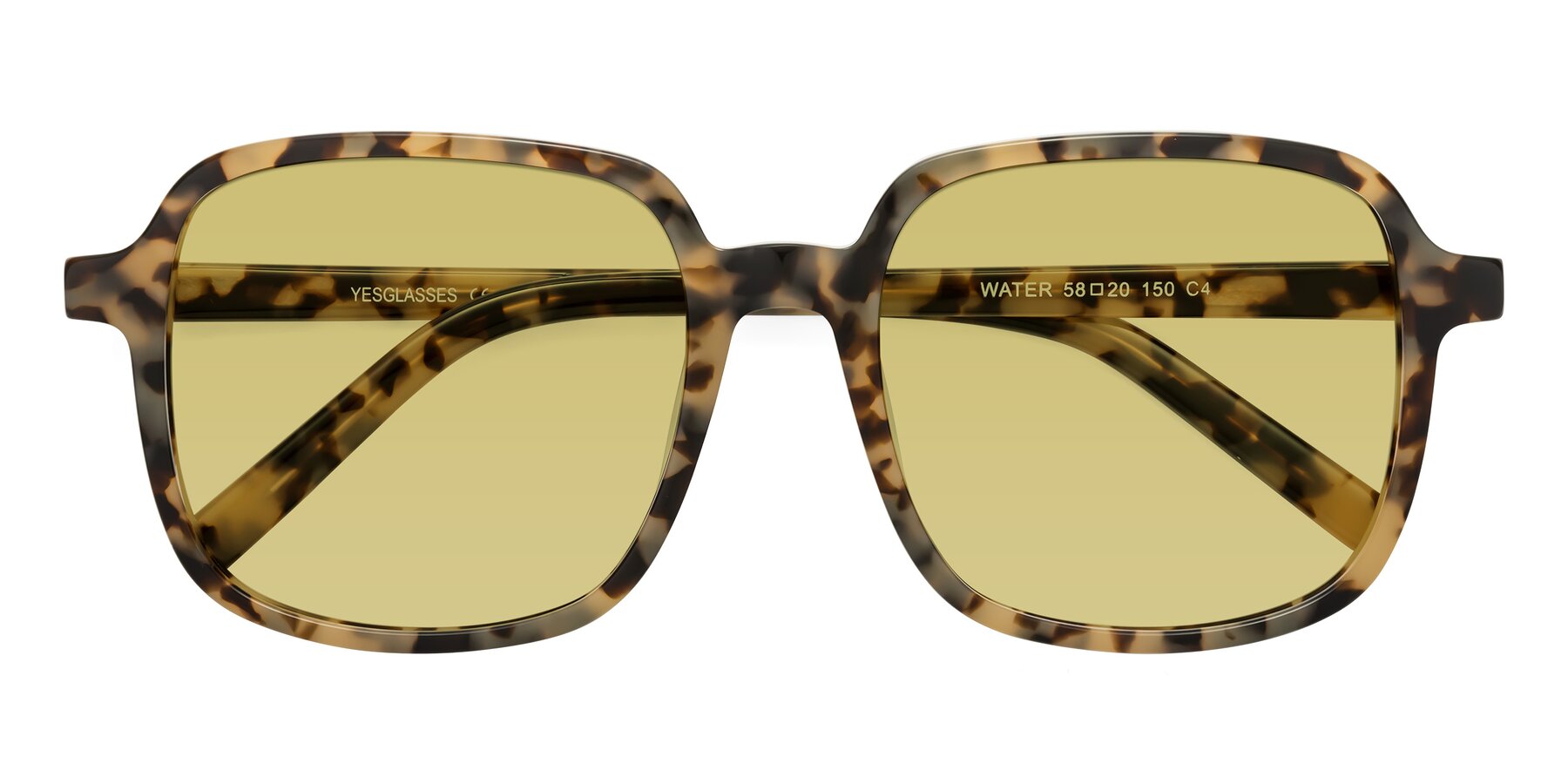 Folded Front of Water in Tortoise with Medium Champagne Tinted Lenses
