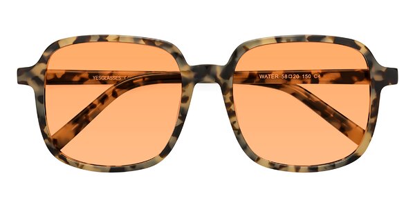 Front of Water in Ivory Tortoise