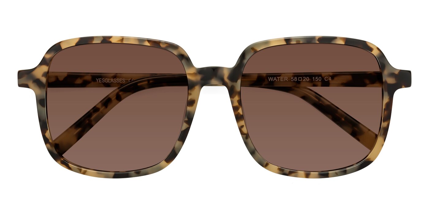 Water - Tortoise Tinted Sunglasses