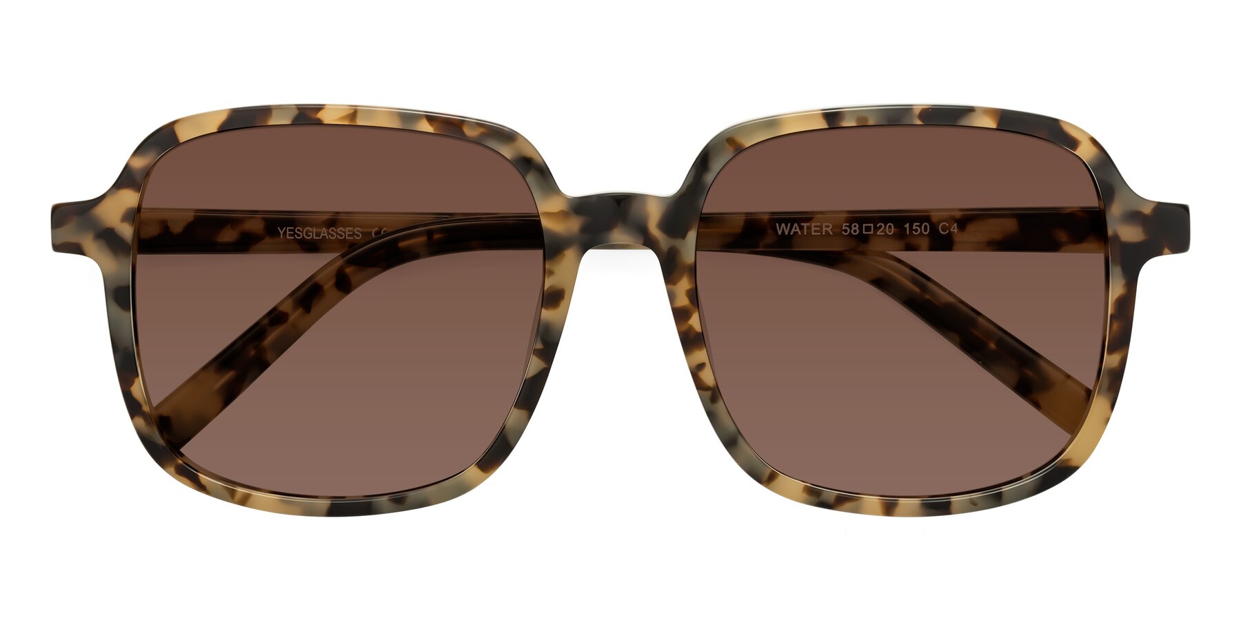 Folded Front of Water in Tortoise with Brown Tinted Lenses