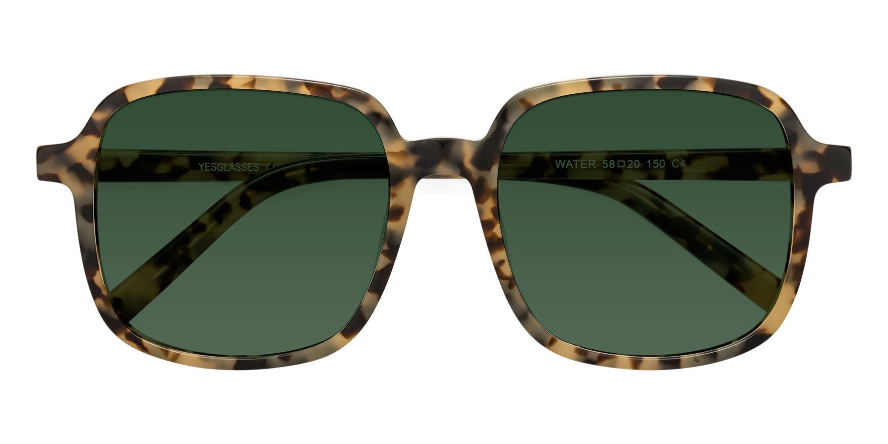 Folded Front of Water in Tortoise with Green Tinted Lenses