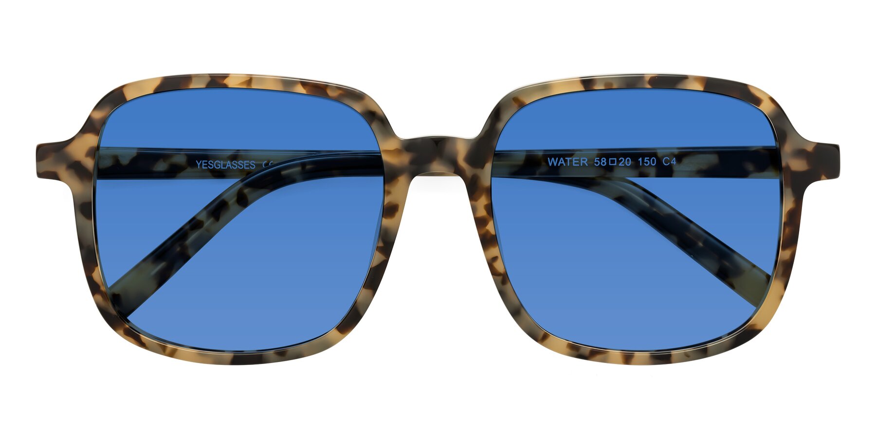 Folded Front of Water in Tortoise with Blue Tinted Lenses