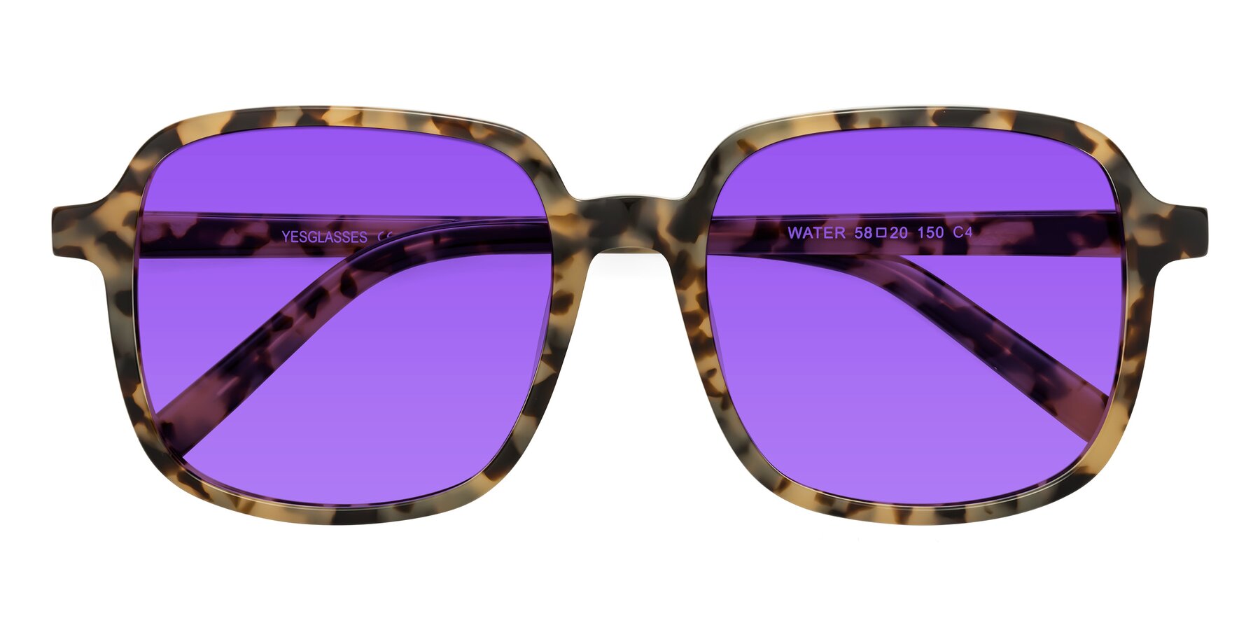 Folded Front of Water in Tortoise with Purple Tinted Lenses