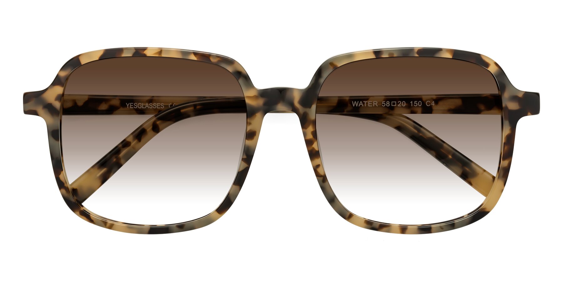 Folded Front of Water in Tortoise with Brown Gradient Lenses