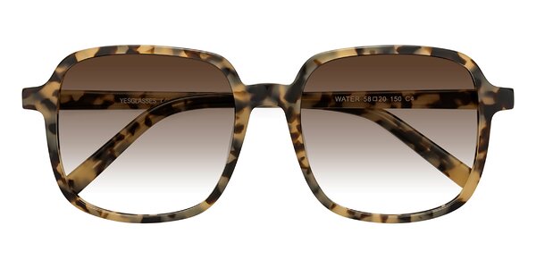 Front of Water in Ivory Tortoise