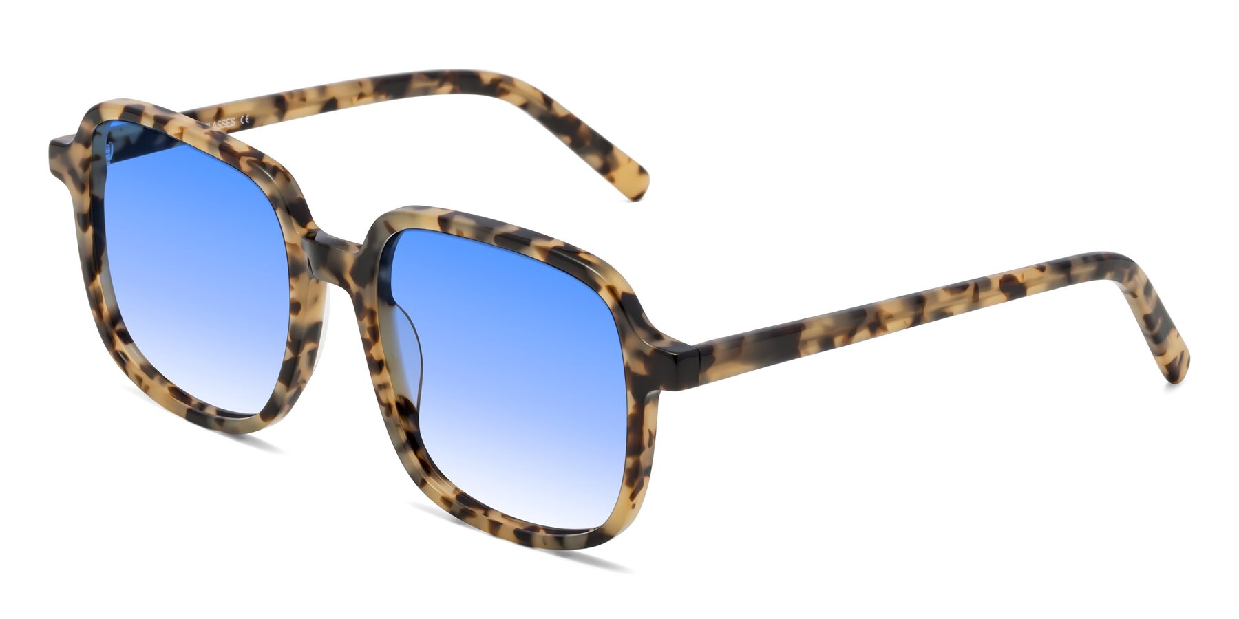 Angle of Water in Tortoise with Blue Gradient Lenses