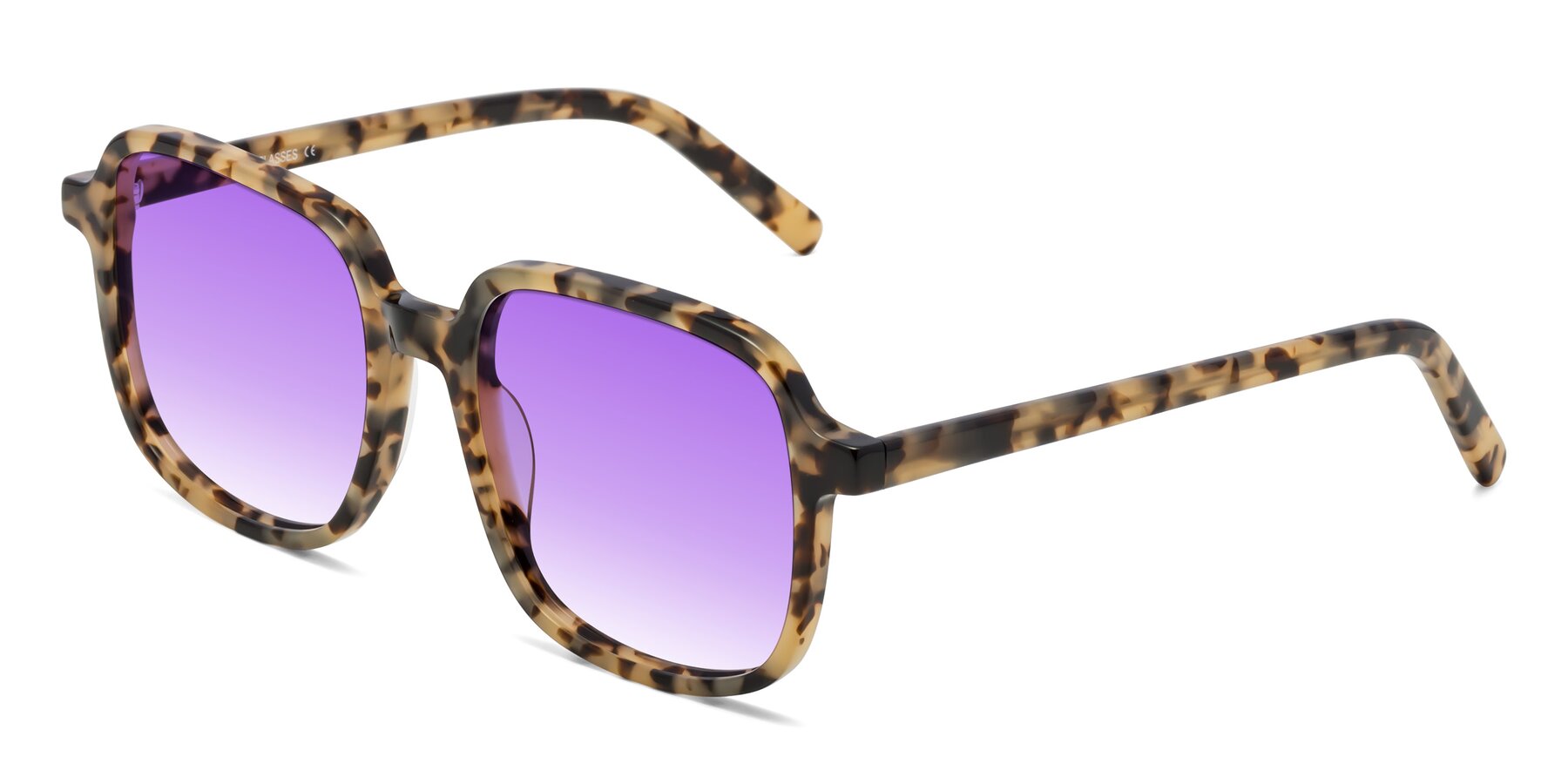 Angle of Water in Tortoise with Purple Gradient Lenses