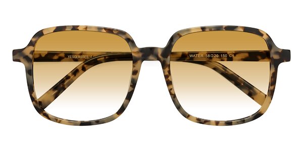 Front of Water in Ivory Tortoise