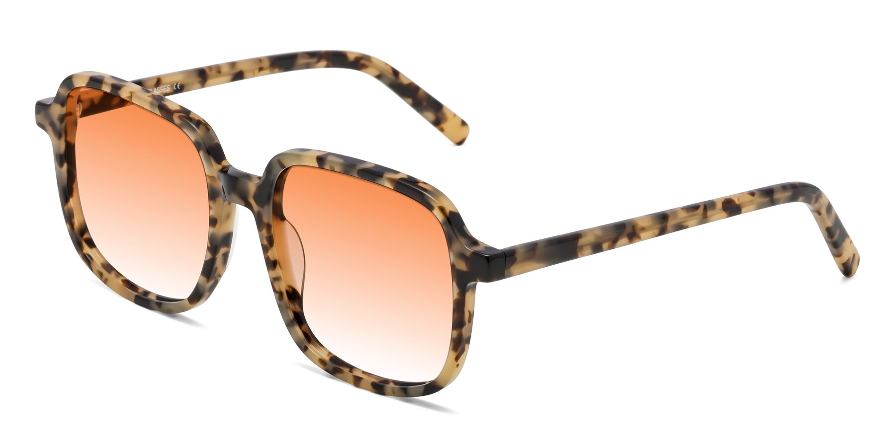 Angle of Water in Tortoise with Orange Gradient Lenses