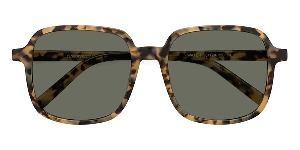 Front of Water in Ivory Tortoise