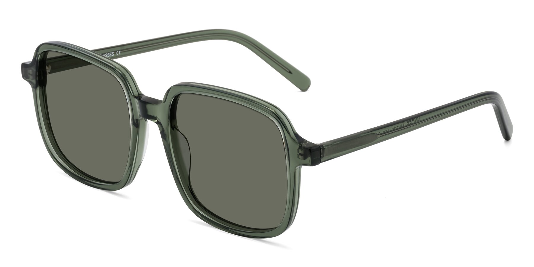 Angle of Water in Transparent Green with Gray Polarized Lenses