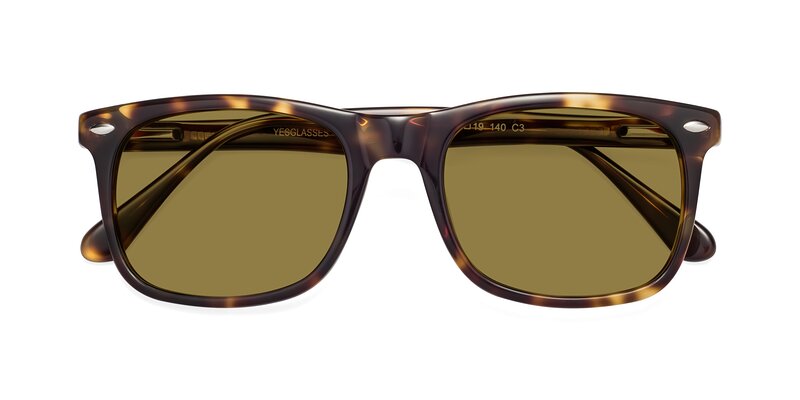 Tortoise Wide Horn-Rimmed Acetate Polarized Sunglasses with Brown ...