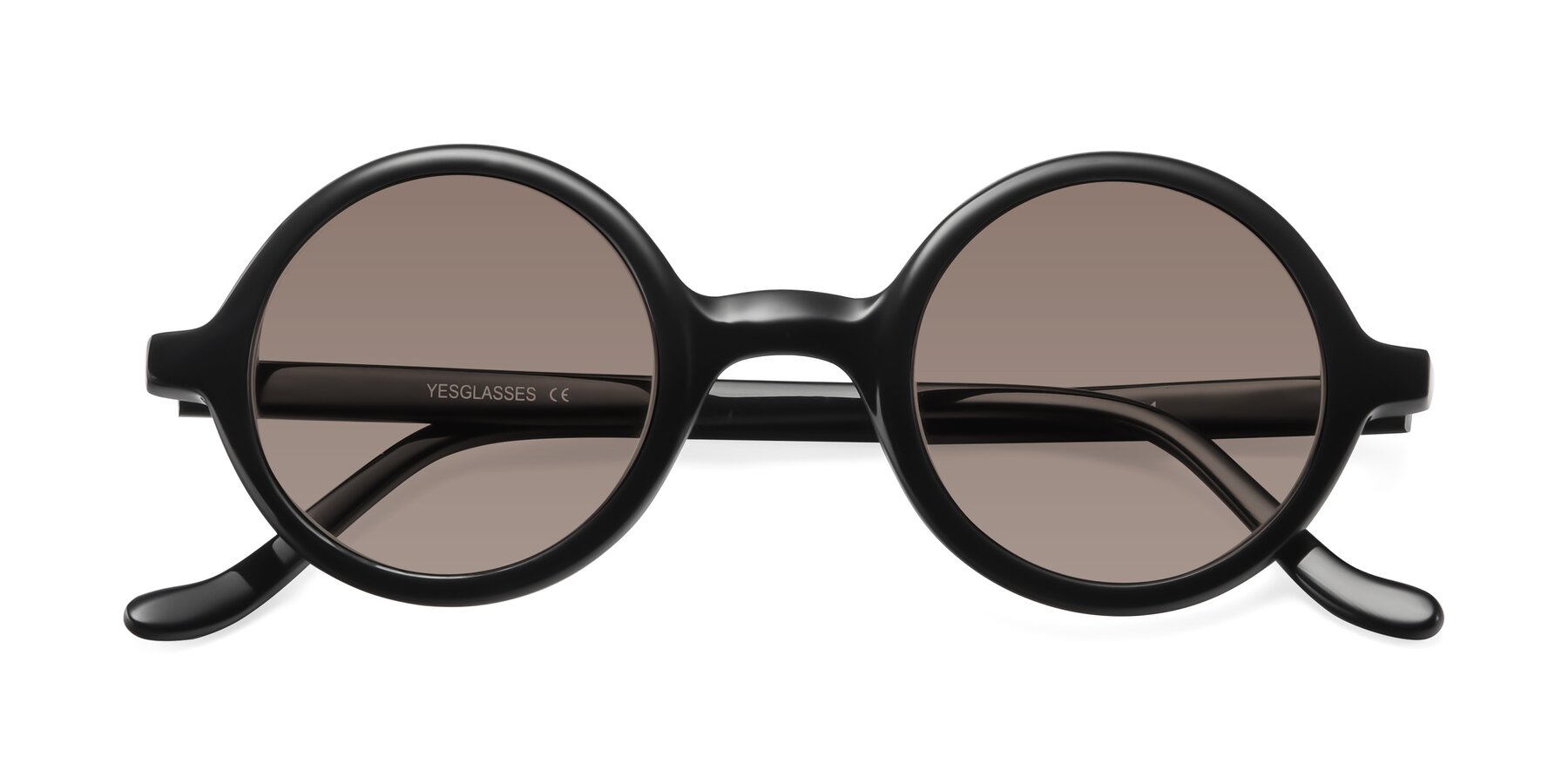 Folded Front of Chaplin in Black with Medium Brown Tinted Lenses