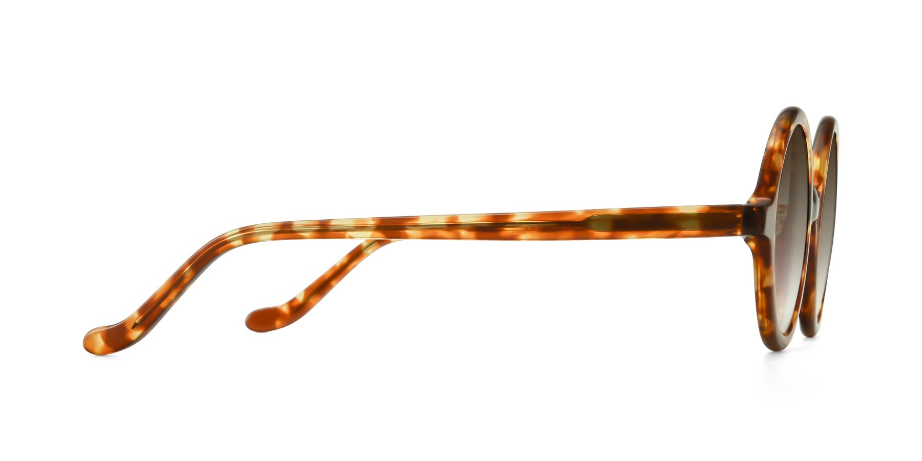 Side of Chaplin in Tortoise with Brown Gradient Lenses