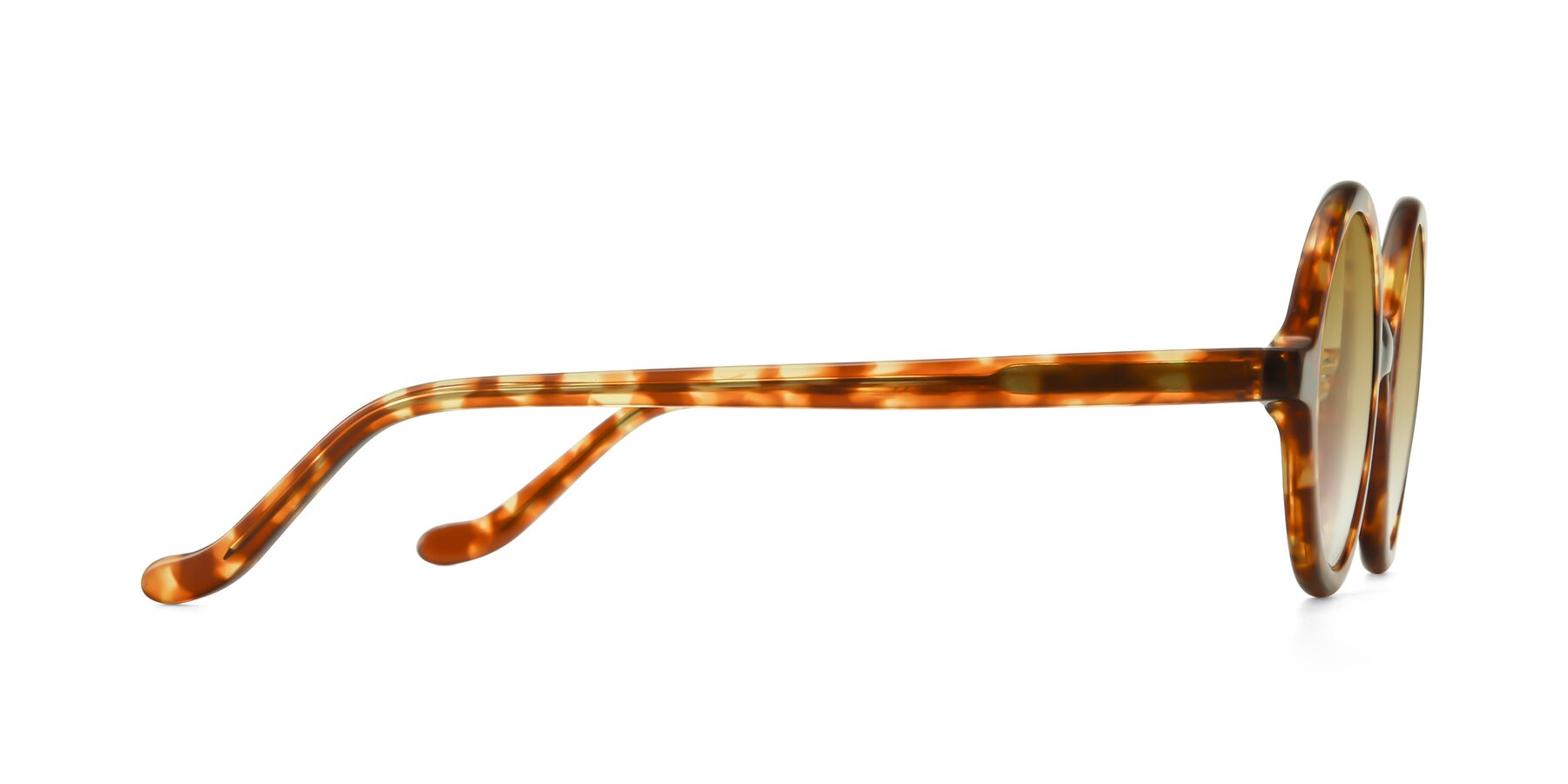 Side of Chaplin in Tortoise with Champagne Gradient Lenses
